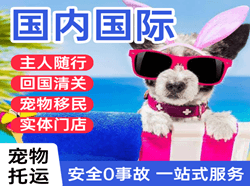 鞍山机场空运国际宠物托运 【国